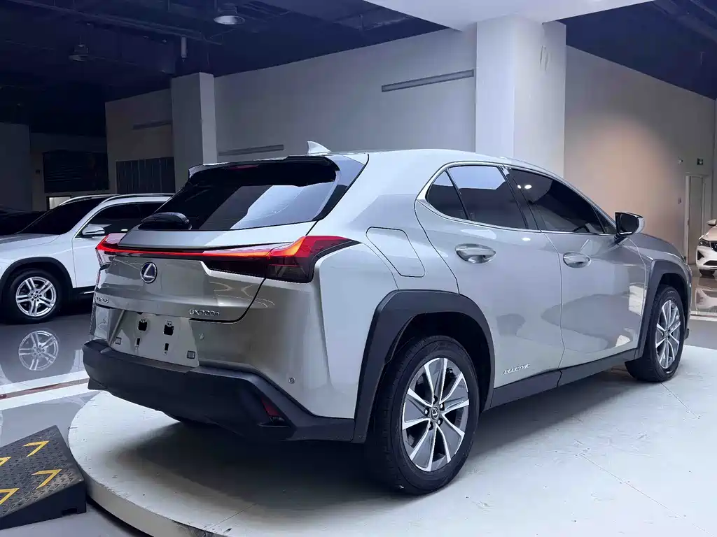 Lexus UX New Energy — фото 6