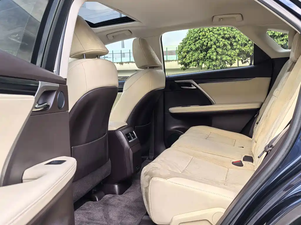 Lexus RX — фото 14