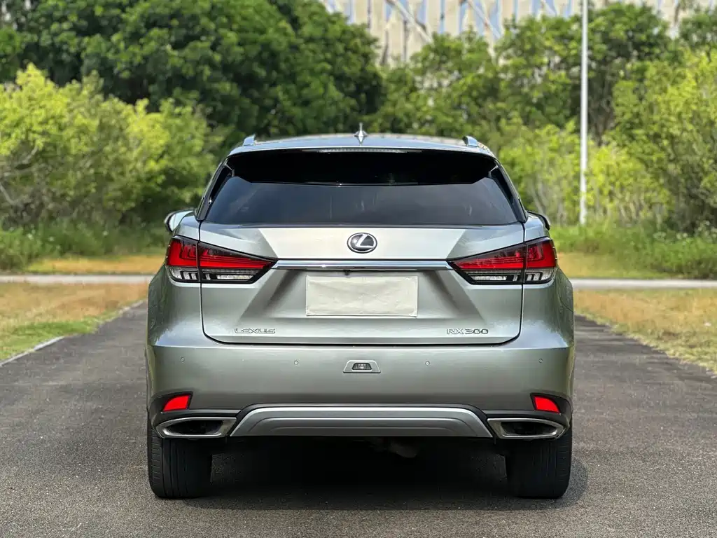 Lexus RX — фото 17