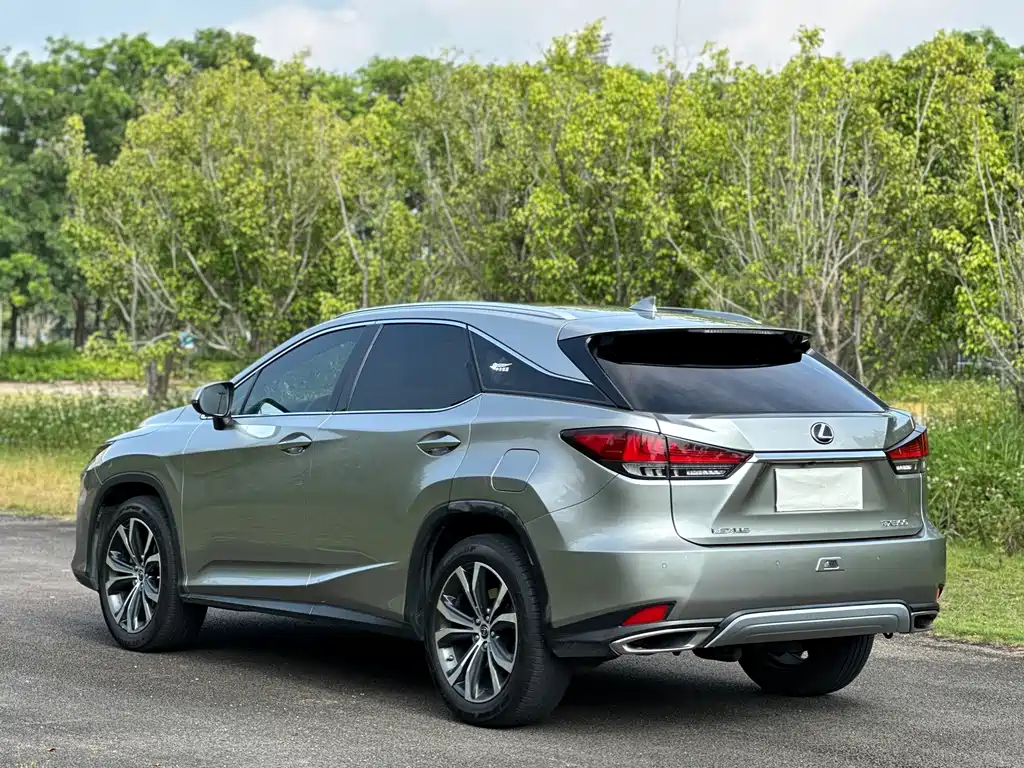 Lexus RX — фото 18