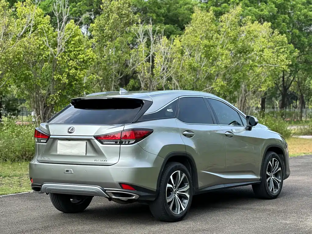 Lexus RX — фото 19