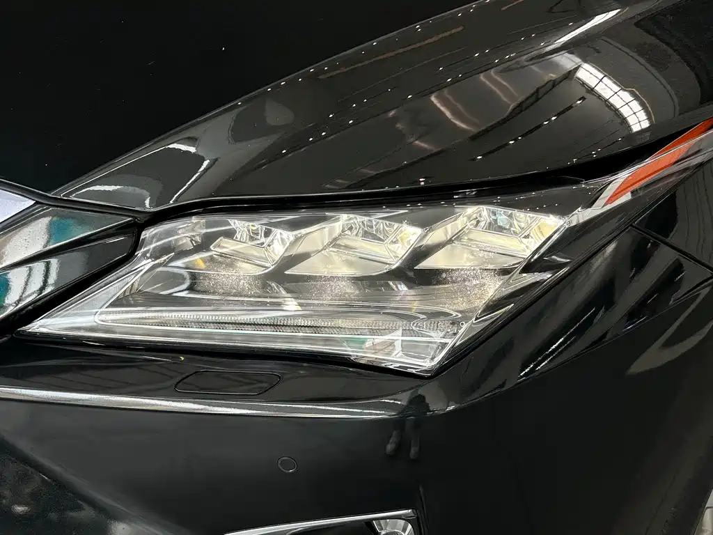 Lexus RX — фото 19