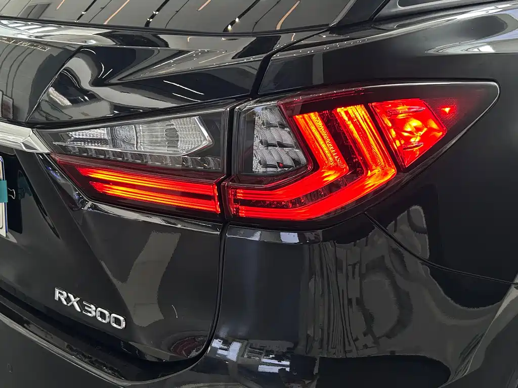 Lexus RX — фото 21