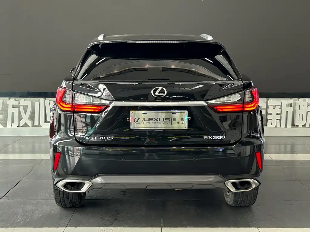 Lexus RX — фото 5