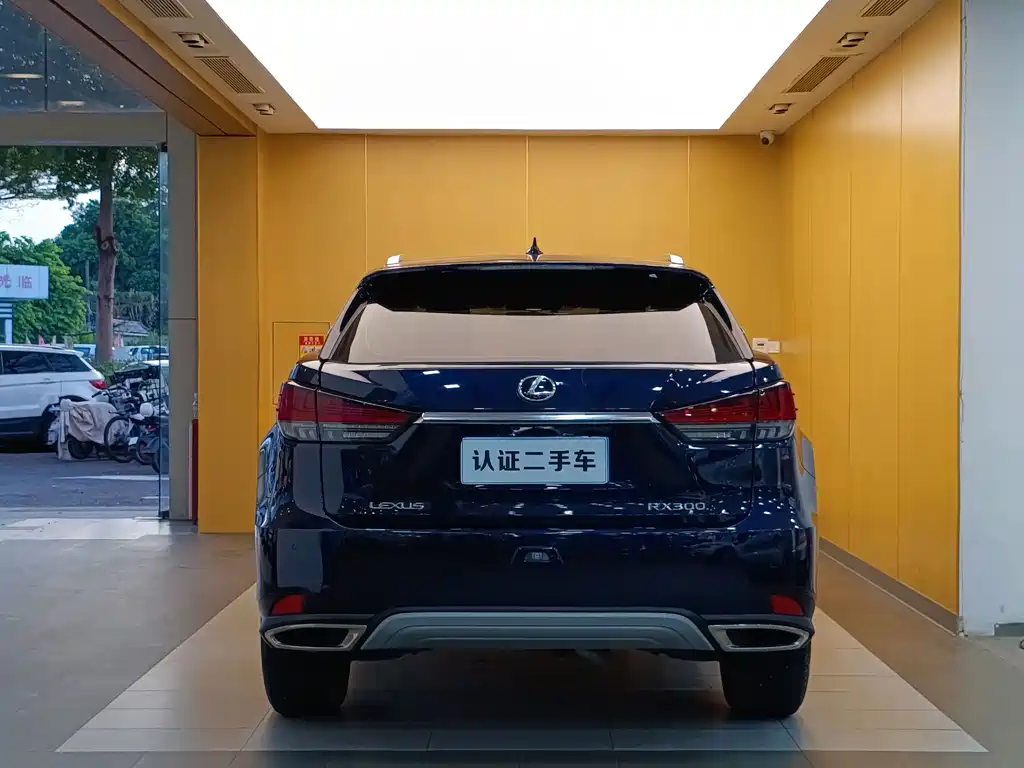 Lexus RX — фото 29