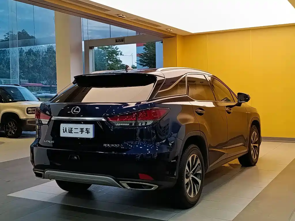 Lexus RX — фото 31