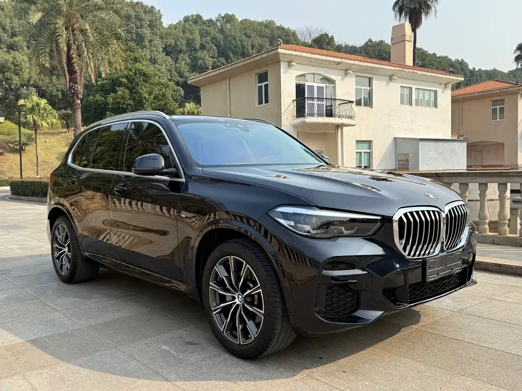 BMW X5 (Import) — фото 3