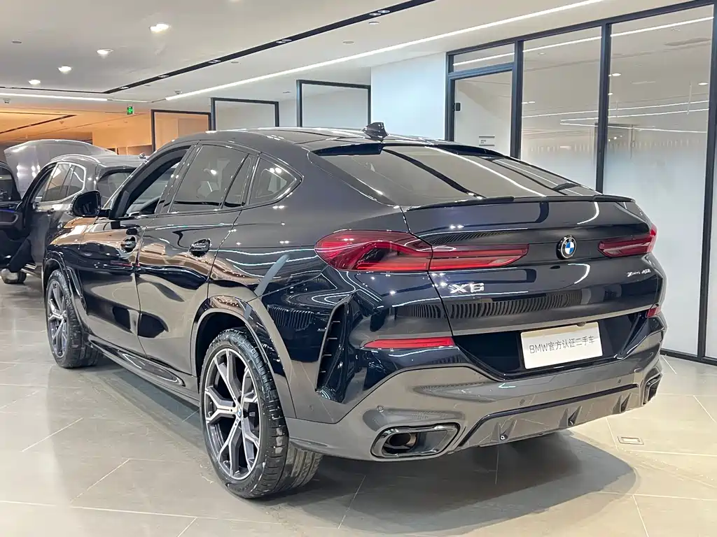 BMW X6 — фото 20