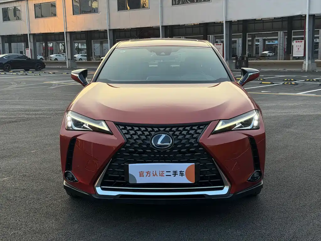 Lexus UX New Energy — фото 2