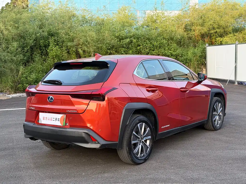 Lexus UX New Energy — фото 13