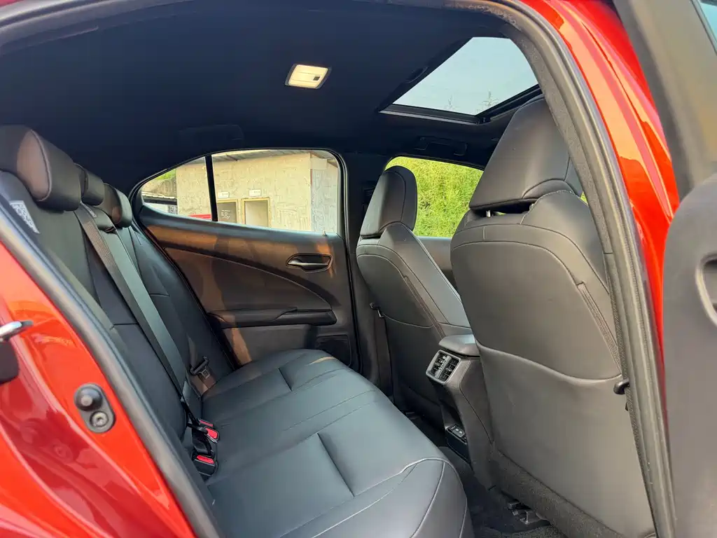 Lexus UX New Energy — фото 9