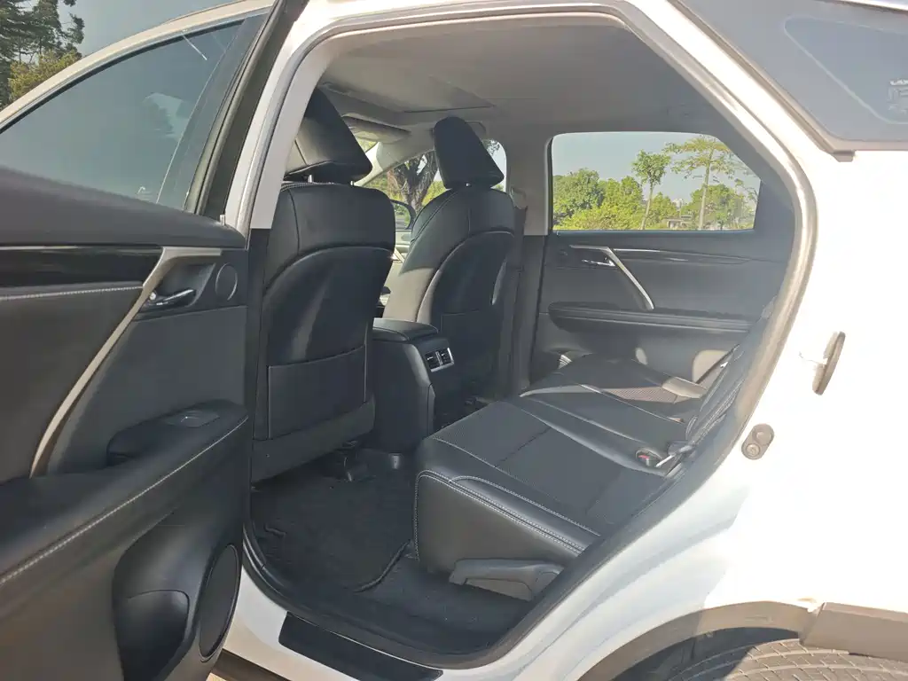 Lexus RX — фото 14
