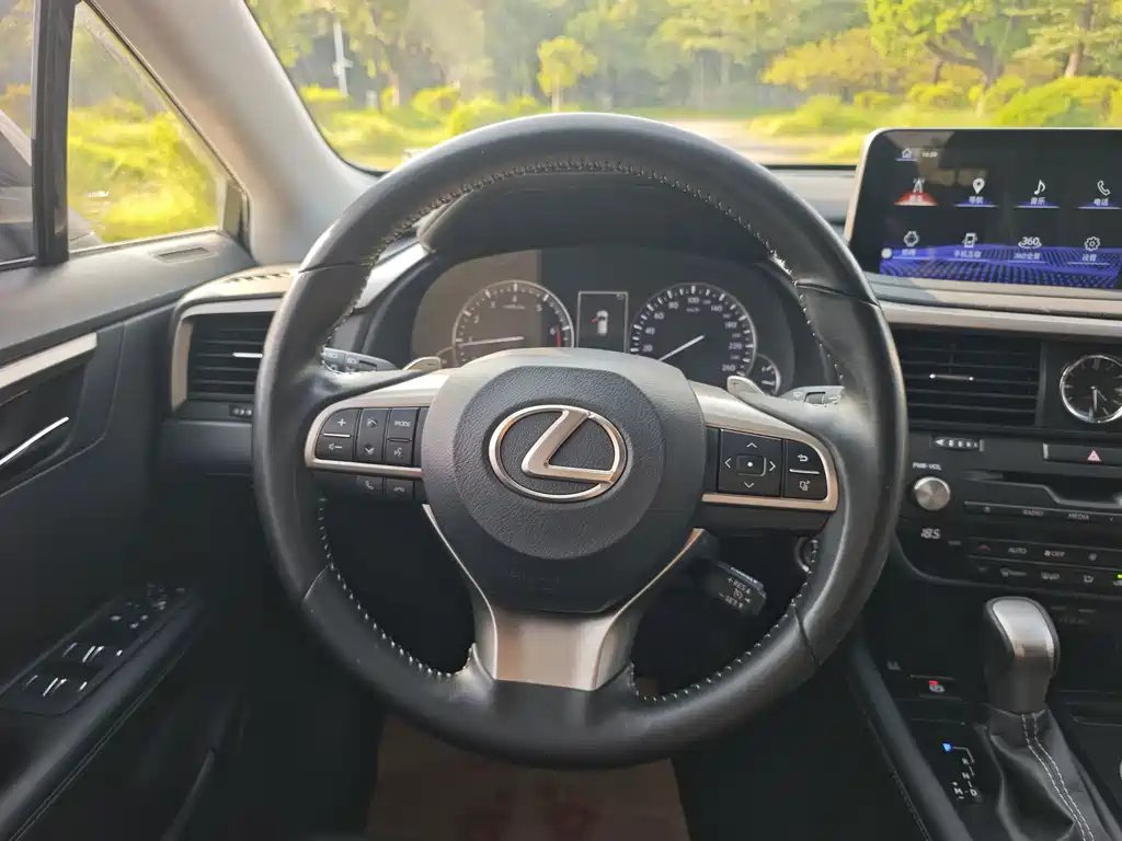 Lexus RX — фото 17