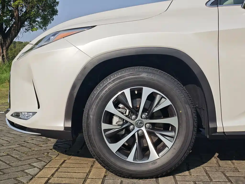 Lexus RX — фото 10