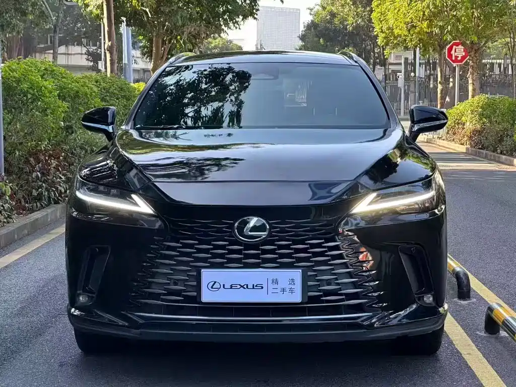 Lexus RX — фото 2