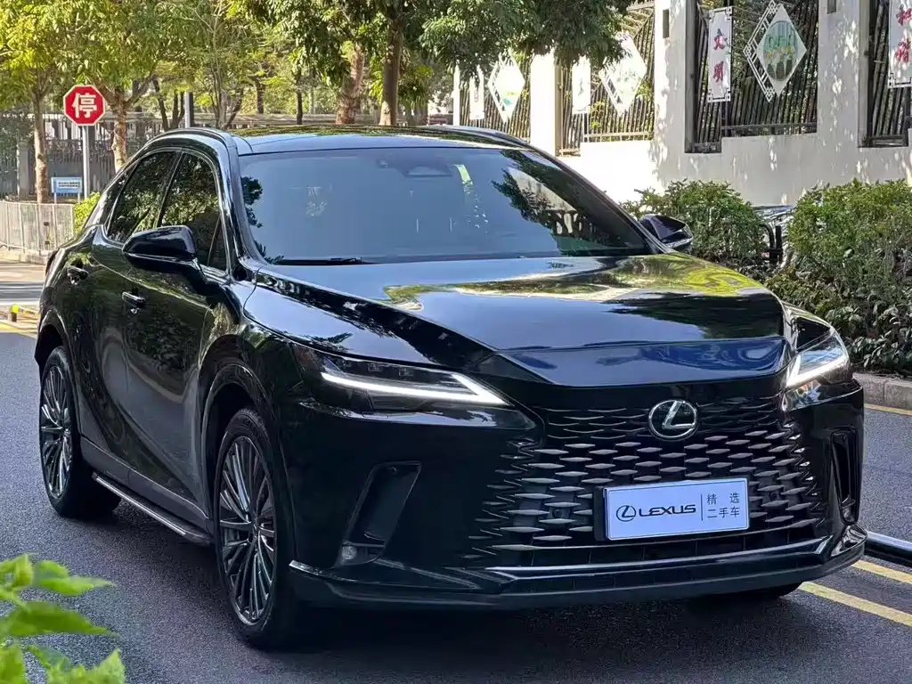 Lexus RX — фото 3