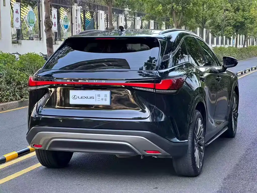 Lexus RX — фото 7