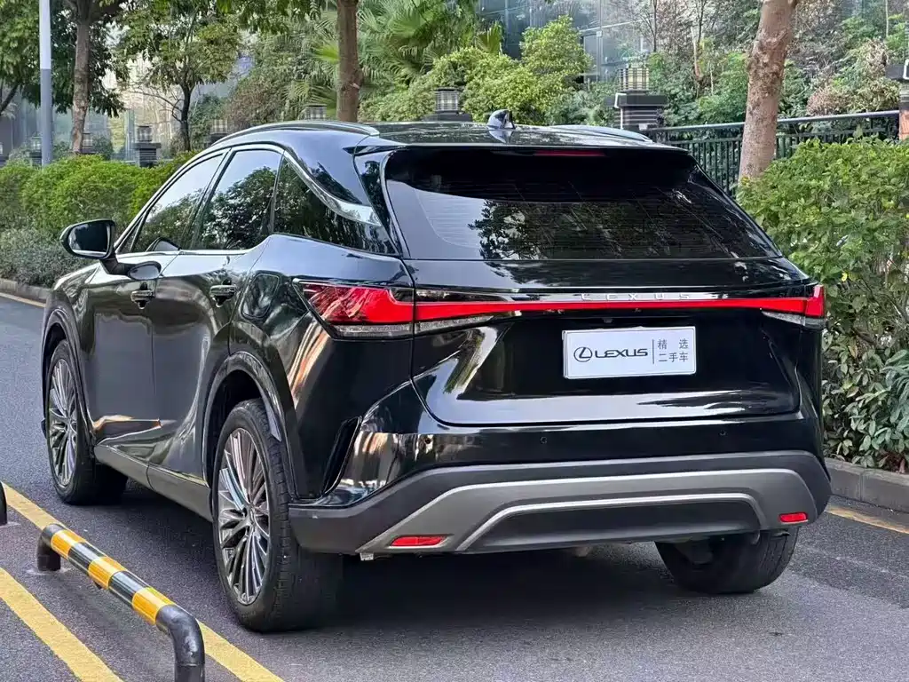 Lexus RX — фото 9