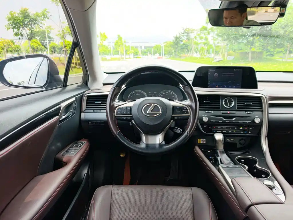 Lexus RX — фото 18