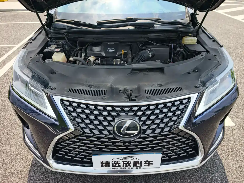 Lexus RX — фото 21