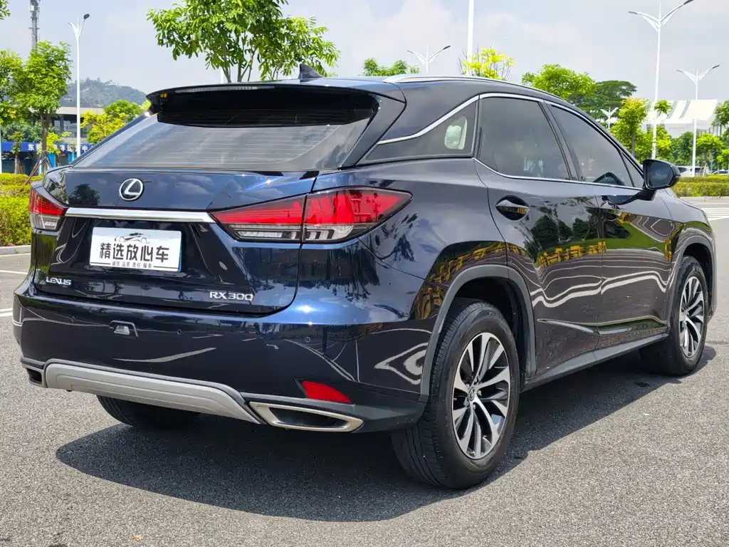 Lexus RX — фото 4