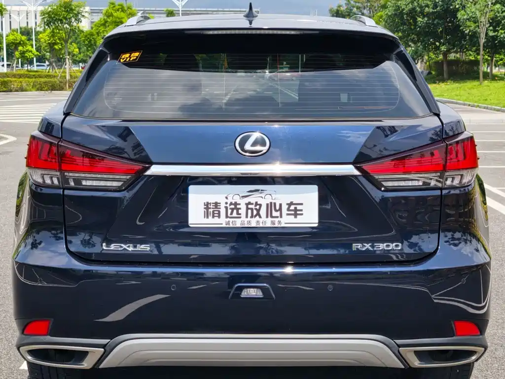 Lexus RX — фото 5