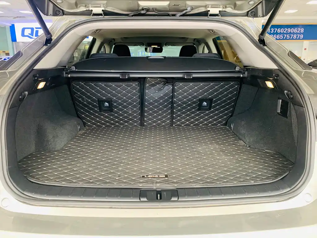 Lexus RX — фото 15