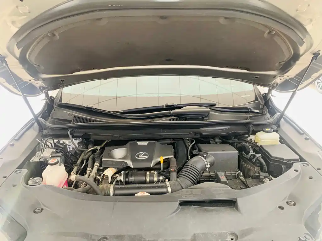 Lexus RX — фото 16