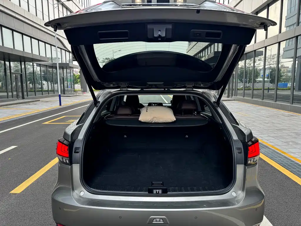 Lexus RX — фото 18