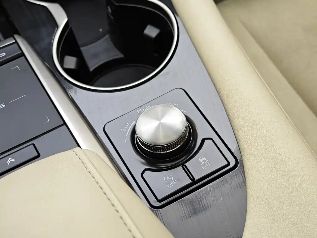 Lexus RX — фото 21