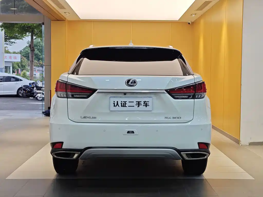 Lexus RX — фото 31