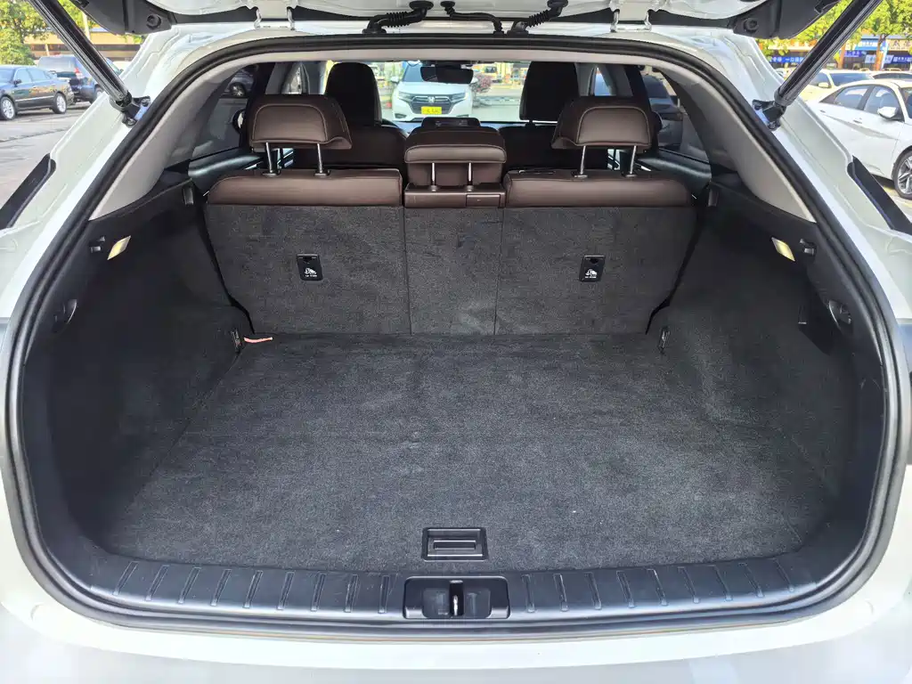 Lexus RX — фото 18