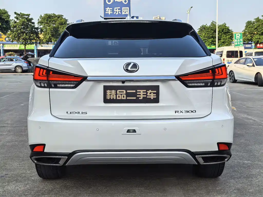 Lexus RX — фото 6