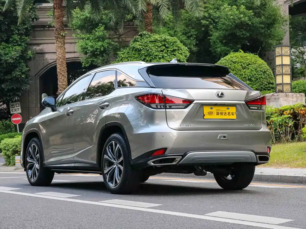 Lexus RX — фото 13