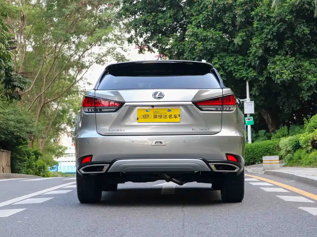 Lexus RX — фото 14
