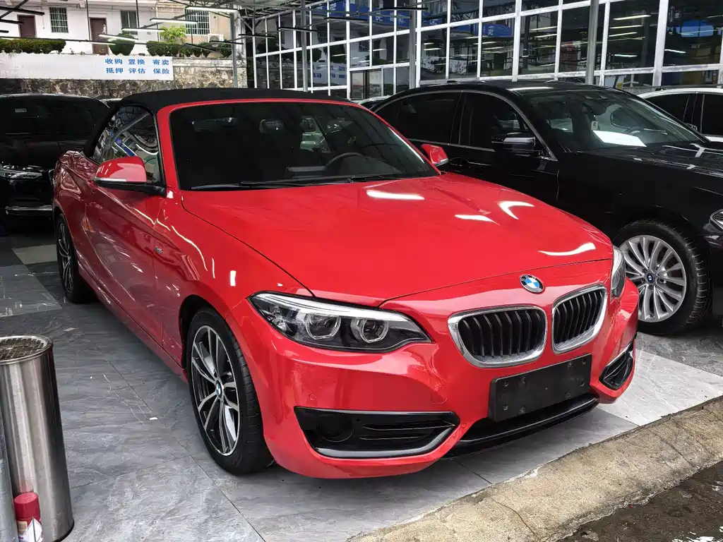 BMW 2 Series (Import) — фото 2