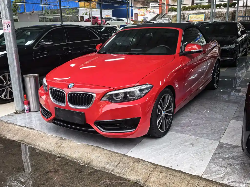 BMW 2 Series (Import) — фото 3