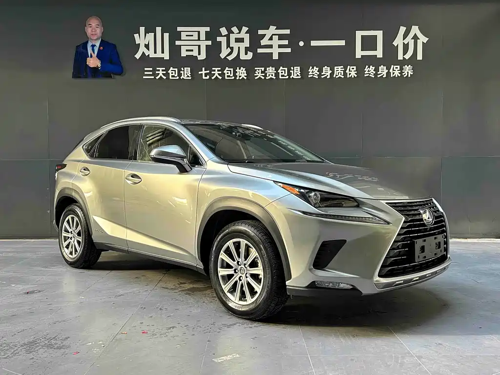 Lexus NX — фото 19