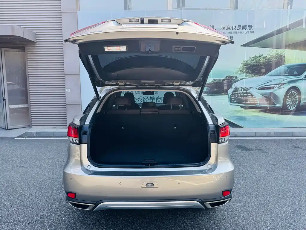 Lexus RX — фото 16