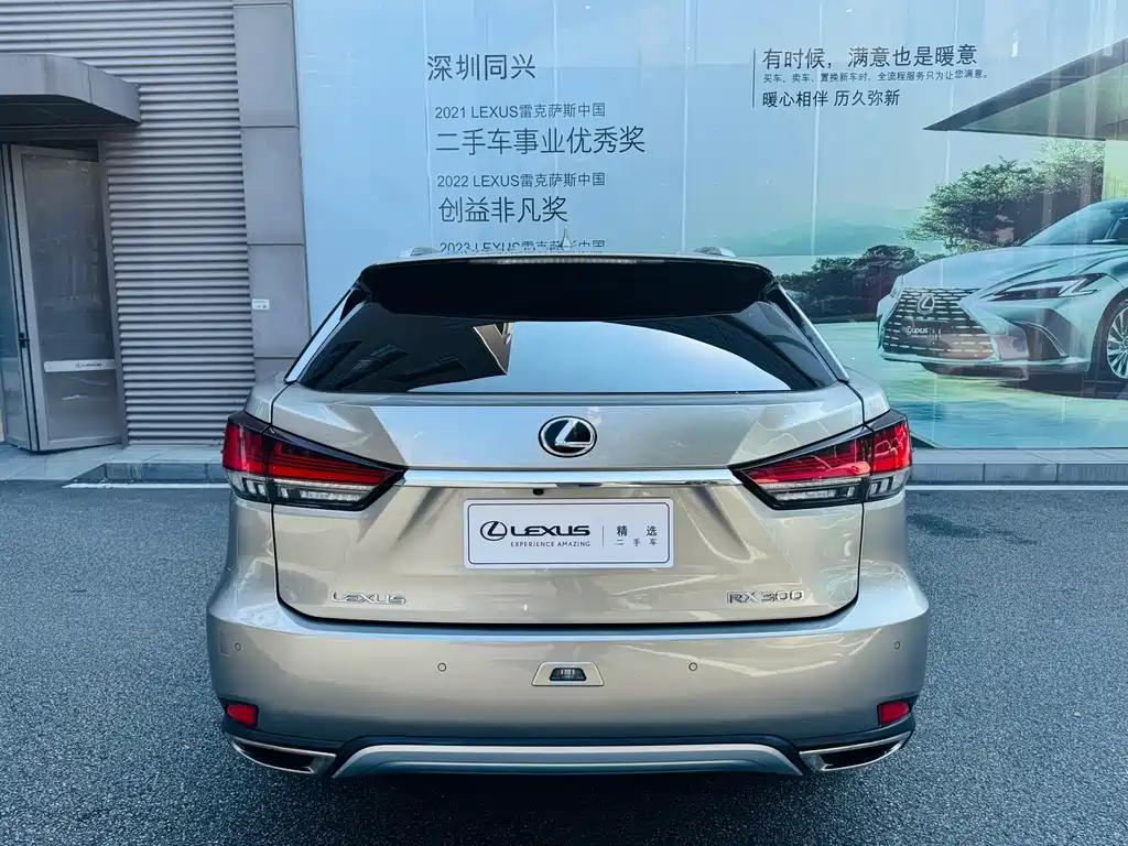 Lexus RX — фото 18