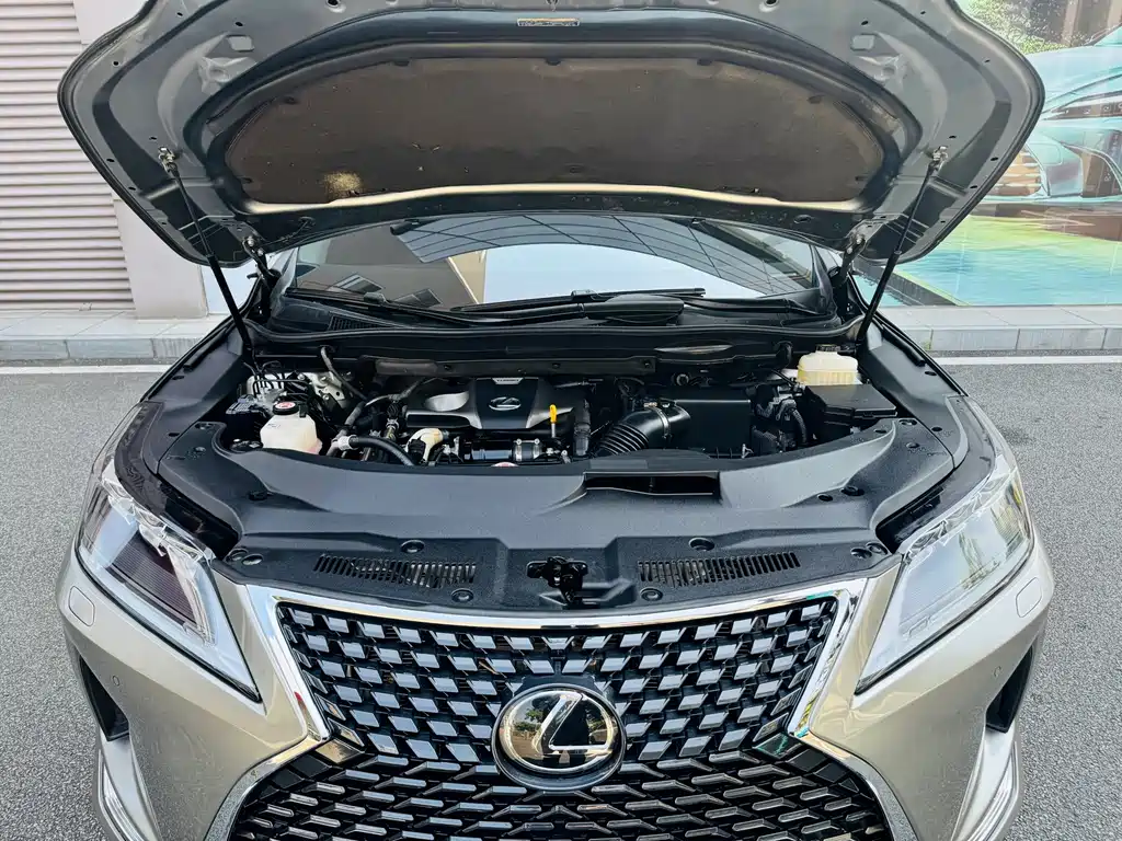 Lexus RX — фото 10